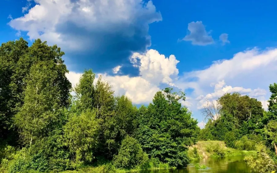 Сохраняется высокая пожароопасность!